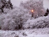Wirral Snow